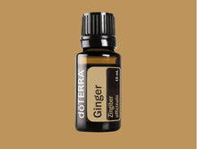 Load image into Gallery viewer, Ginger Essential Oil