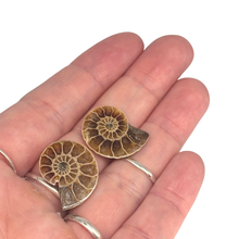 Load image into Gallery viewer, Ammonite Split Pair $9.99