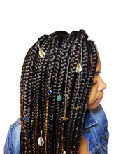 Load image into Gallery viewer, Golden Cowries