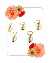 Load image into Gallery viewer, Golden Cowries