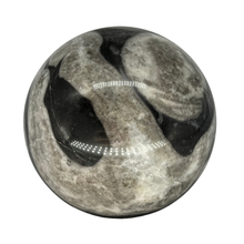 Load image into Gallery viewer, Shell Jasper Sphere $47.99