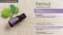 Load image into Gallery viewer, Patchouli - Pogostemon Cablin - Essential Oil