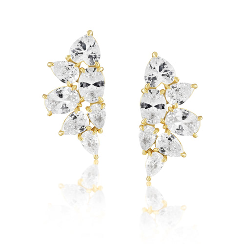 Eden CZ Earring