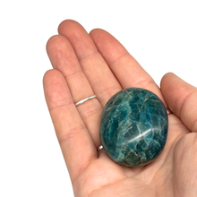 Load image into Gallery viewer, Blue Apatite $14.99
