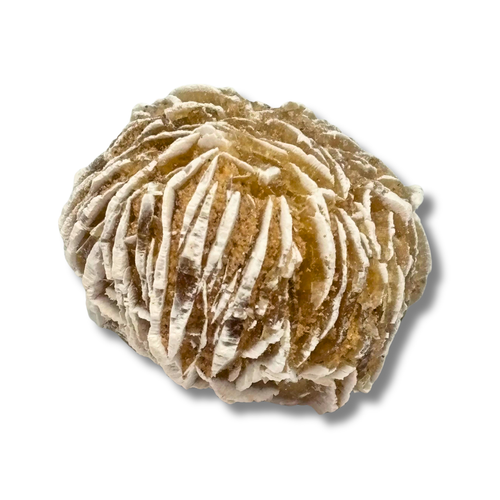 Desert Rose $6.99