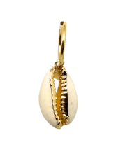 Load image into Gallery viewer, Golden Cowries
