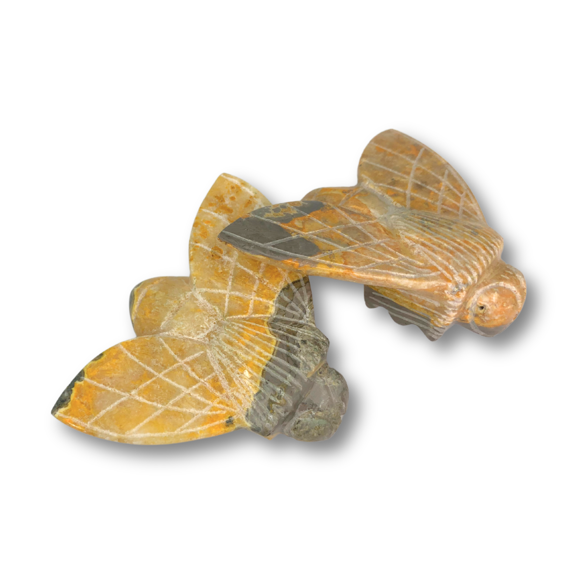 Bumblebee Jasper Bumblebee $44