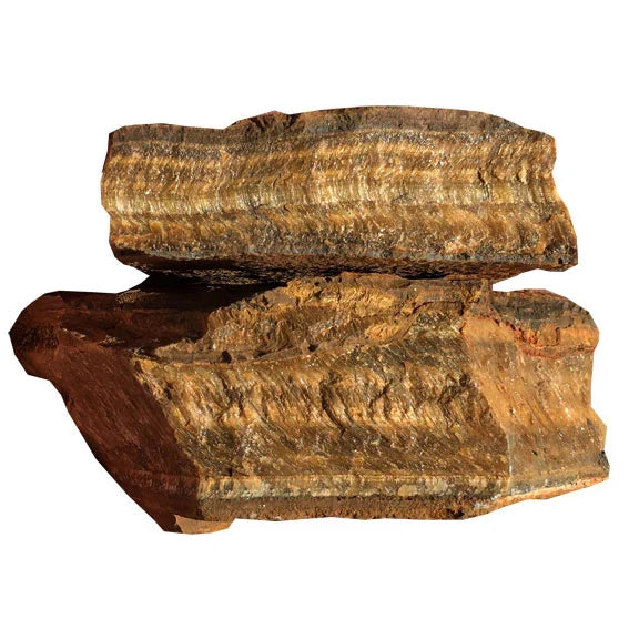 Tiger's Eye $5.00