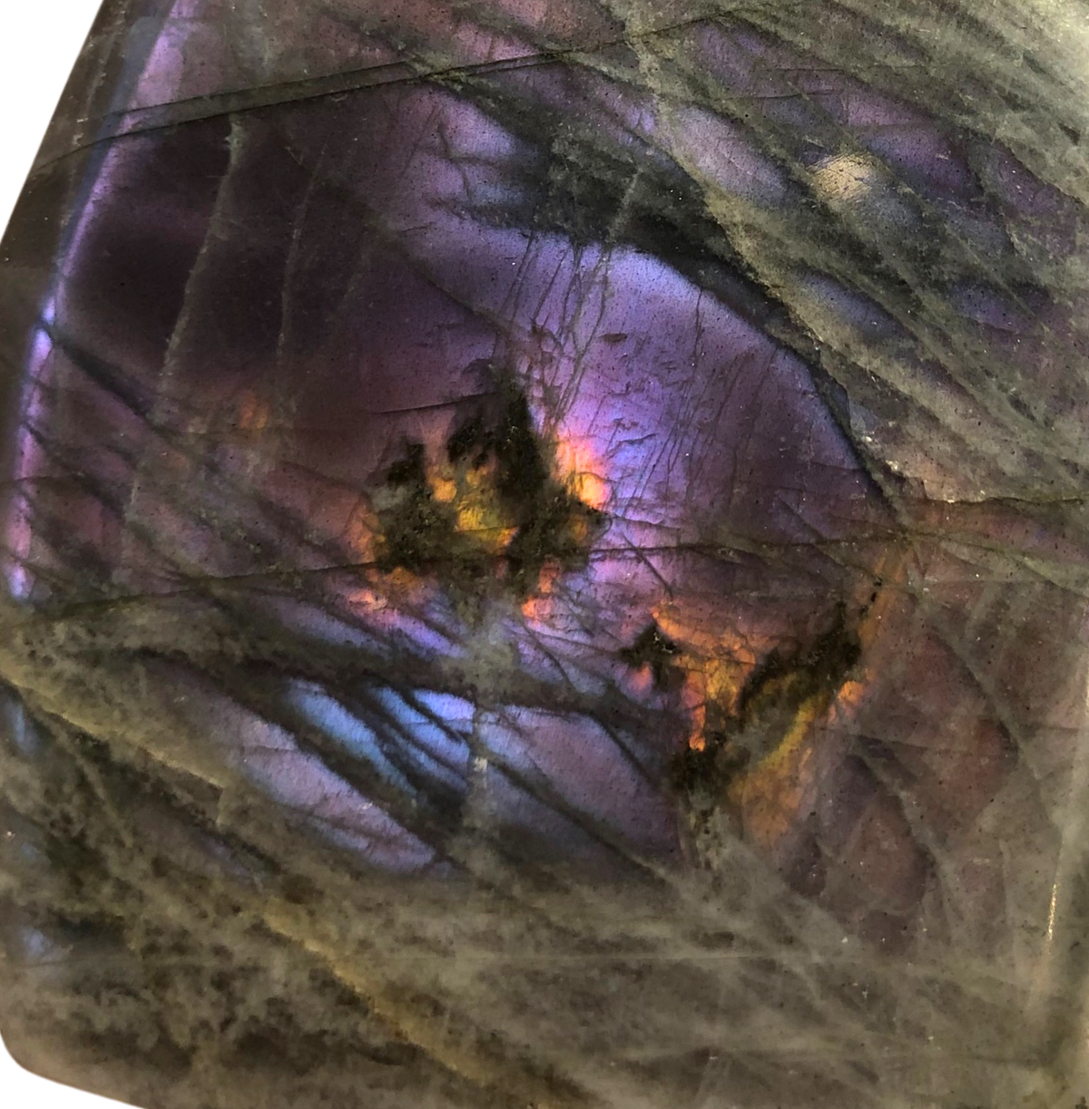 Purple Labradorite $115.00