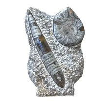 Load image into Gallery viewer, Ammonite and Orthoceras Sculpture
