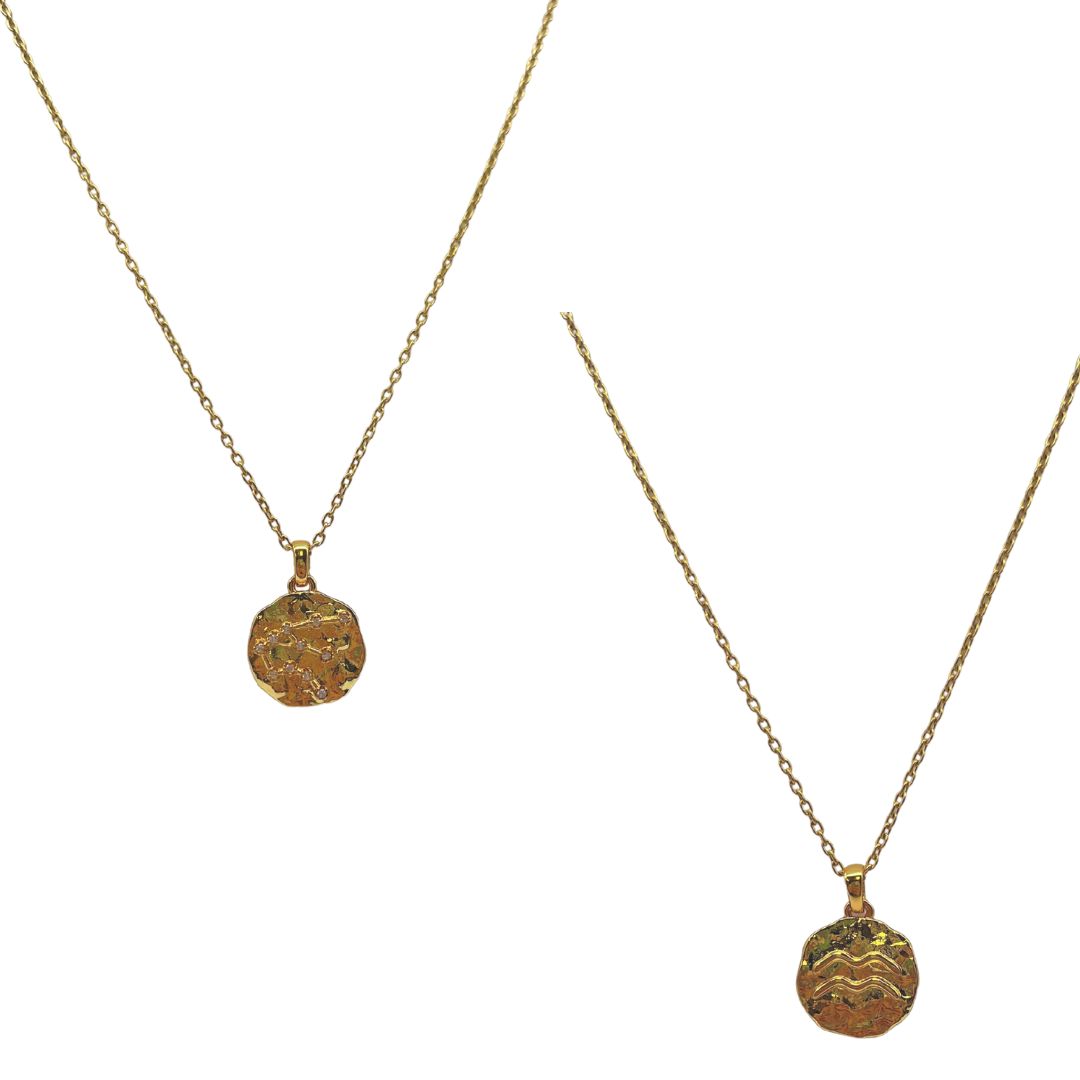 Zodiac Constellation Coin
