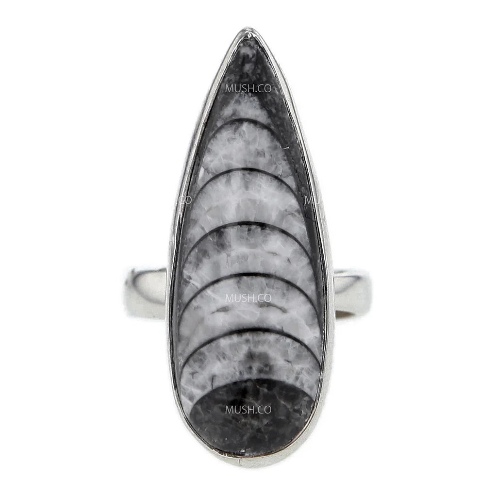 Orthoceras Ring