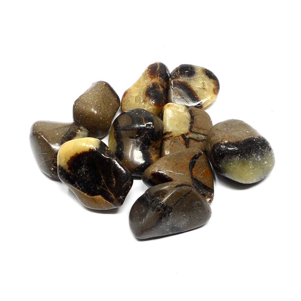 Septarian $3.00