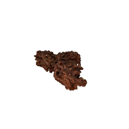 Giant Coprolite