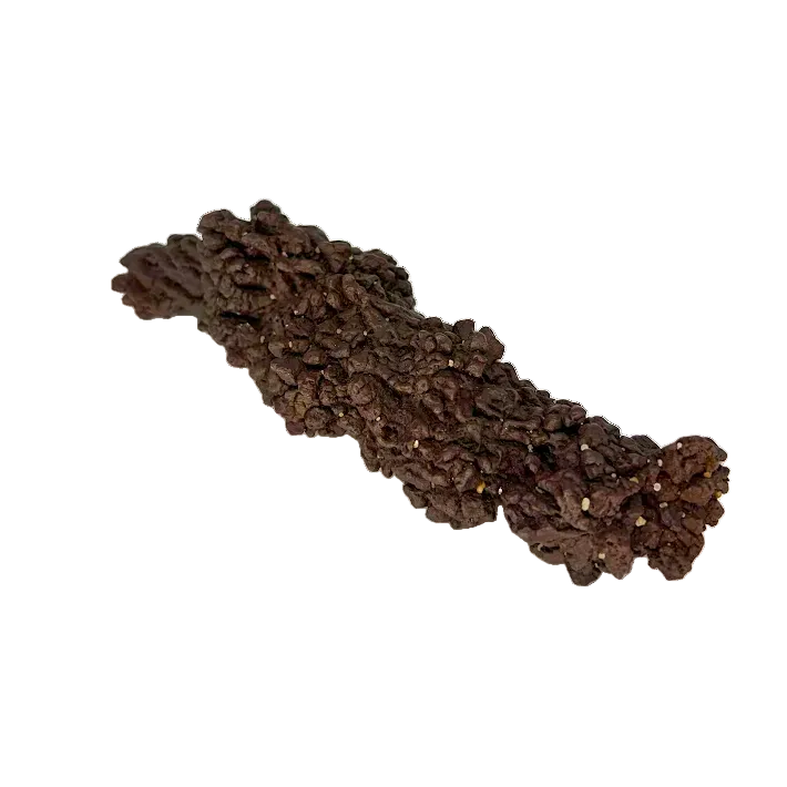 Giant Coprolite