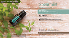 Load image into Gallery viewer, Spearmint - Mentha Spicata - Essential Oil
