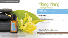 Load image into Gallery viewer, Ylang Ylang - Essential Oil
